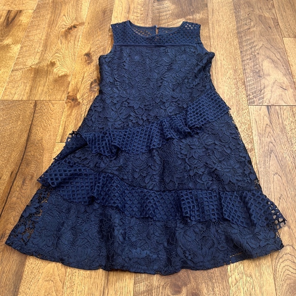 Blush Girl’s Lace Mesh Dress Size 14